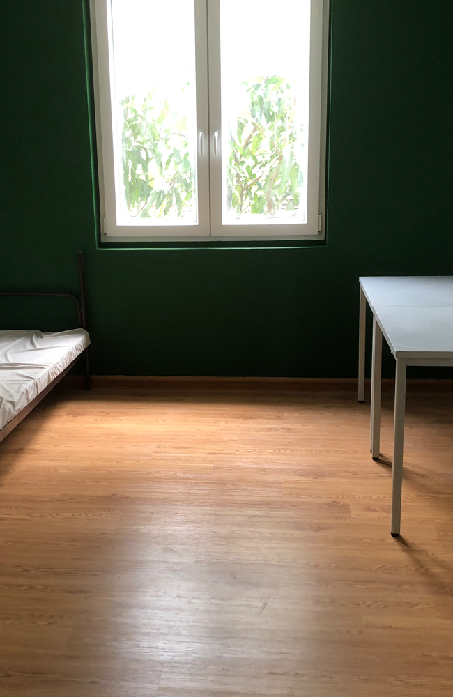 grüne wand bildfeld lang